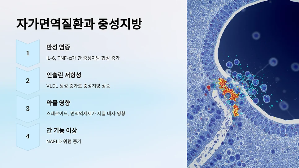 자가면역질환이 있을 때 중성지방 수치가 높아지는 이유 #10