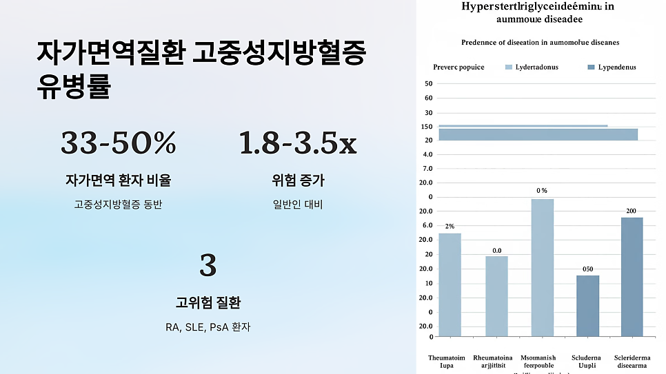 이미지 11