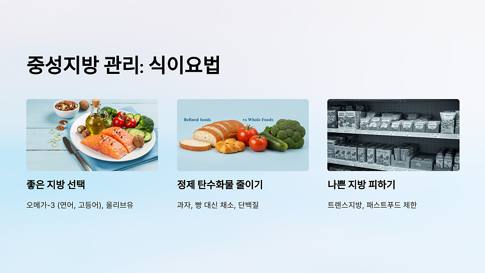 이미지 12