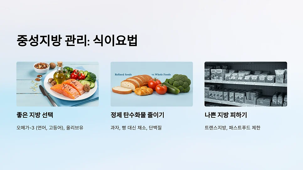 자가면역질환이 있을 때 중성지방 수치가 높아지는 이유 #12