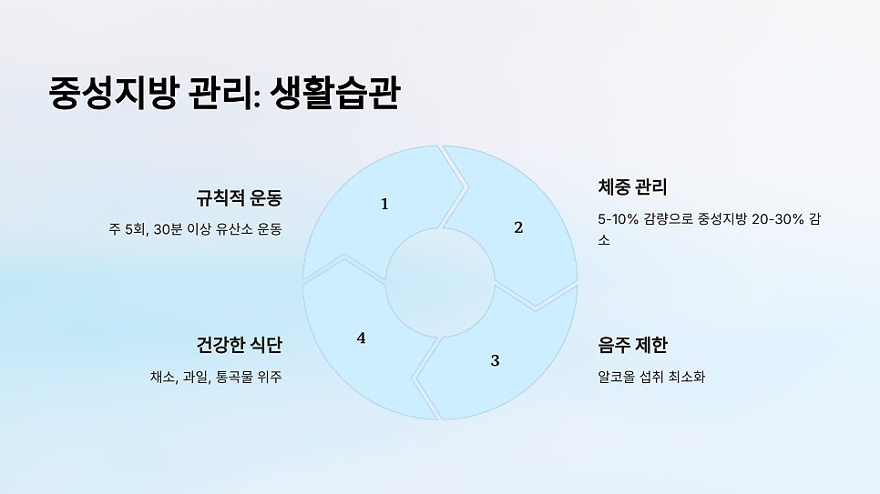 이미지 13