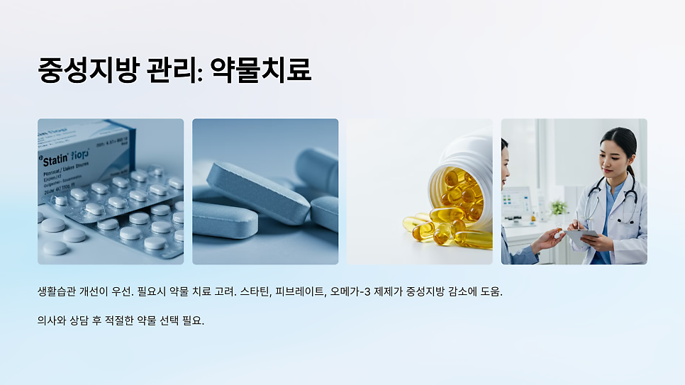 이미지 14
