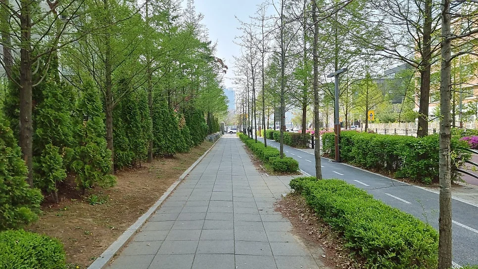 재발 다발 연골염의 임상 양상을 정리한 자료