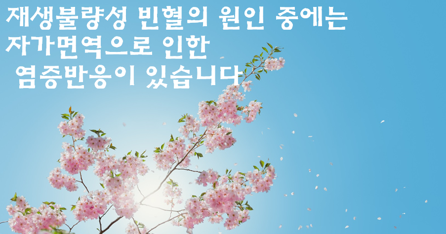 이미지 2