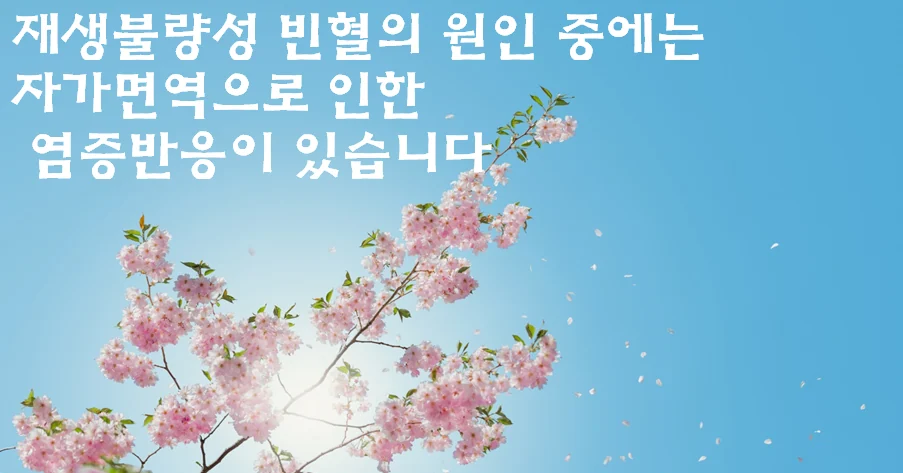 재생 불량성 빈혈의 면역·유전 인자 분류