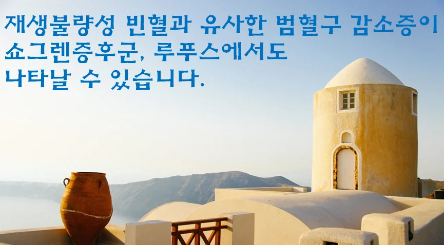 자가면역 감별의 필요성을 보여주는 임상 사례 이미지