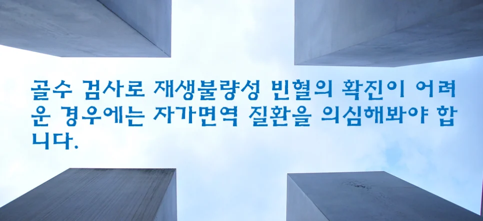 재생 불량성 빈혈 자가면역 감별 요약 이미지
