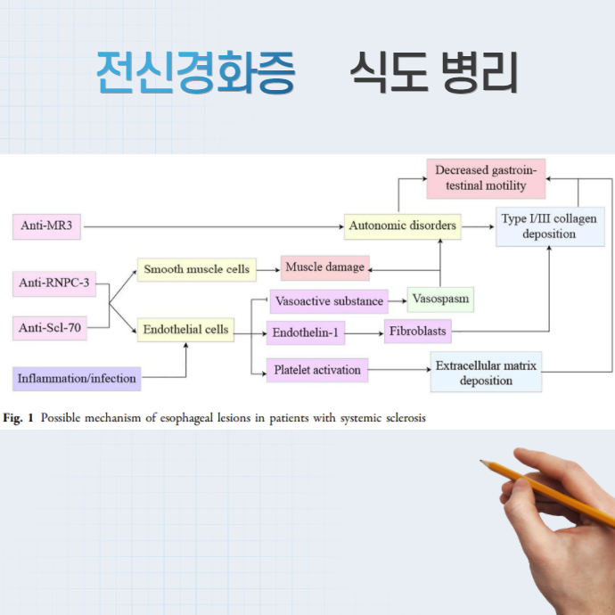 이미지 2