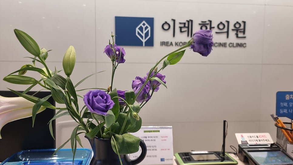 이미지 3