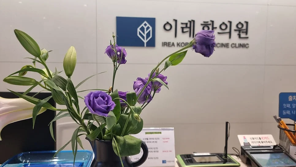 전신경화증 증상 진단 나이별 차이와 사망률 #3