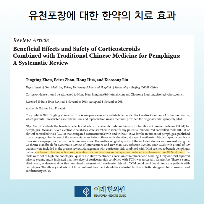 이미지 5
