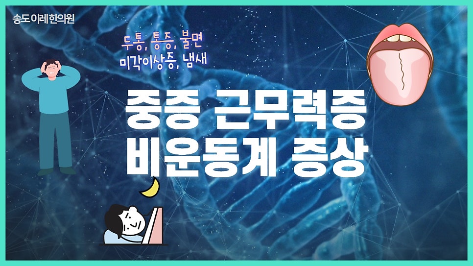 이미지 1
