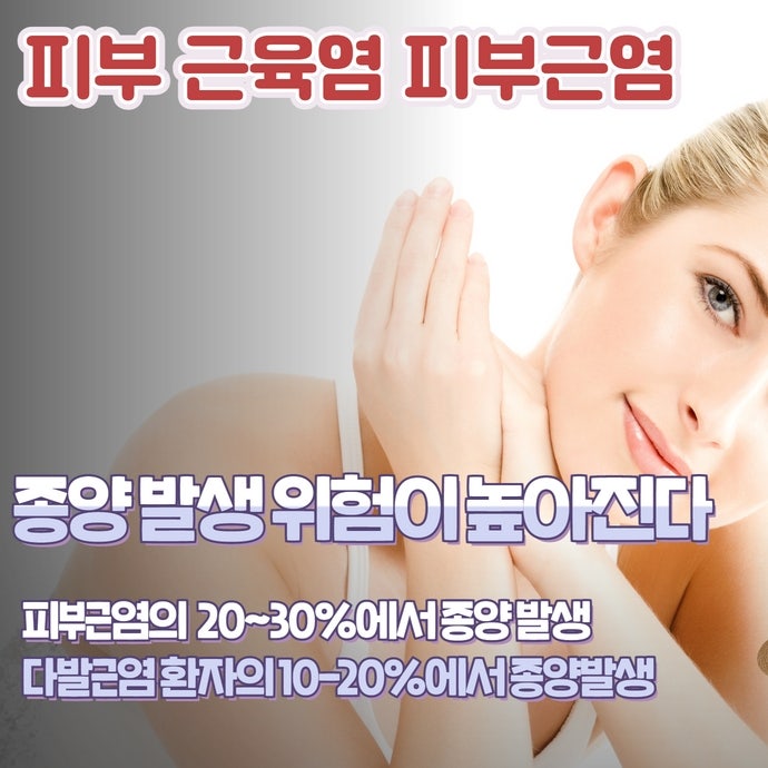 이미지 2