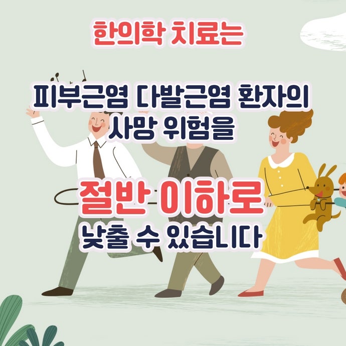 이미지 5