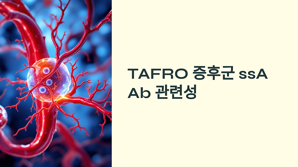 이미지 1