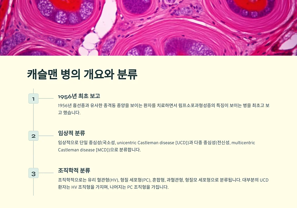 캐슬맨병의 임상·조직학적 분류 도식