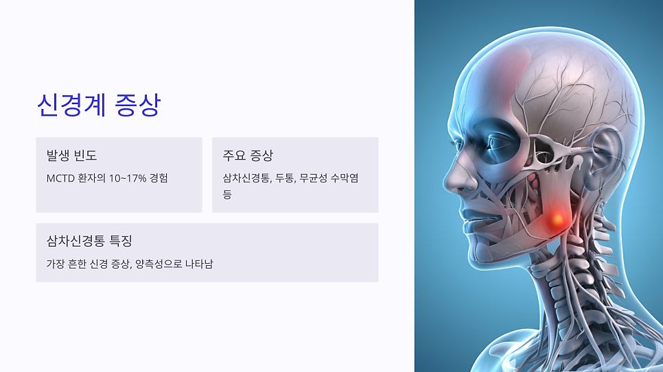 이미지 1
