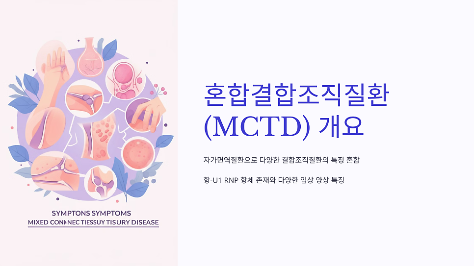 이미지 2