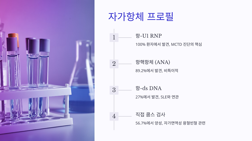이미지 5