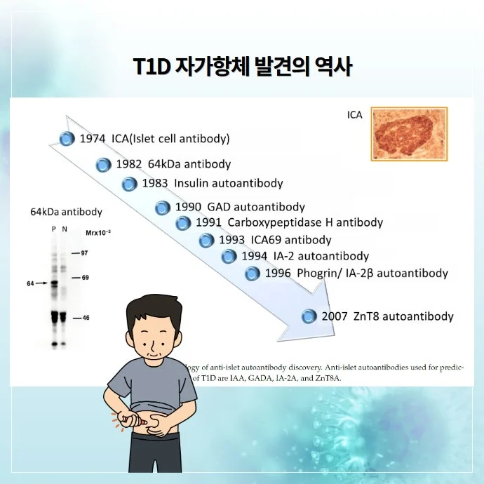 1형 당뇨 자가항체가 병리적 원인이 되는 자가면역질환입 #2