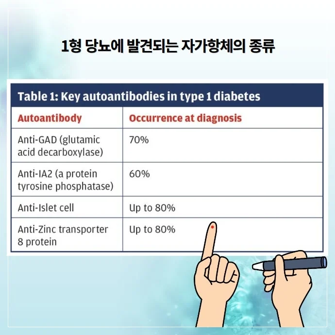 1형 당뇨 자가항체가 병리적 원인이 되는 자가면역질환입 #3