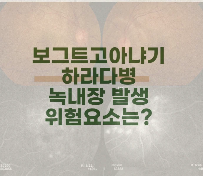 보그트 고야나기 하라다 병(VKH) : 녹내장 발병 위험요인은