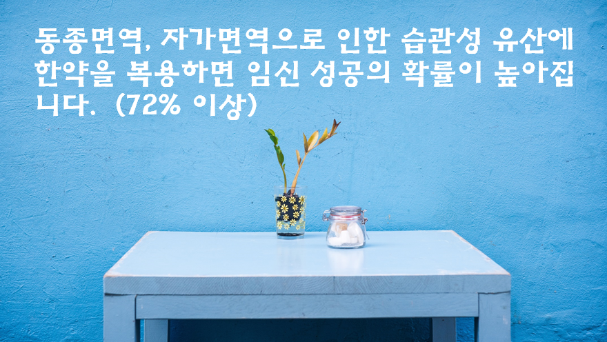 이미지 1