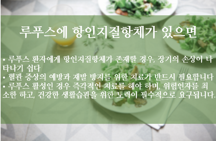 이미지 2