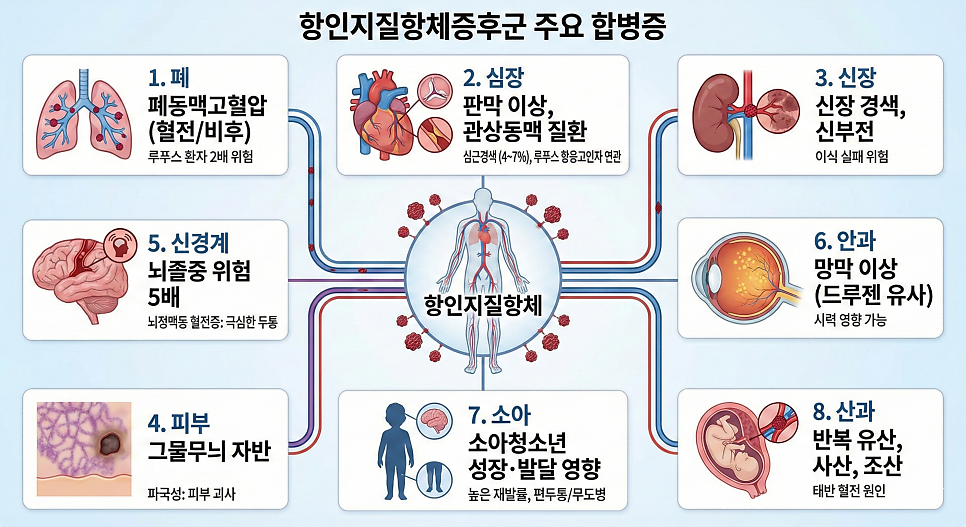 이미지 5