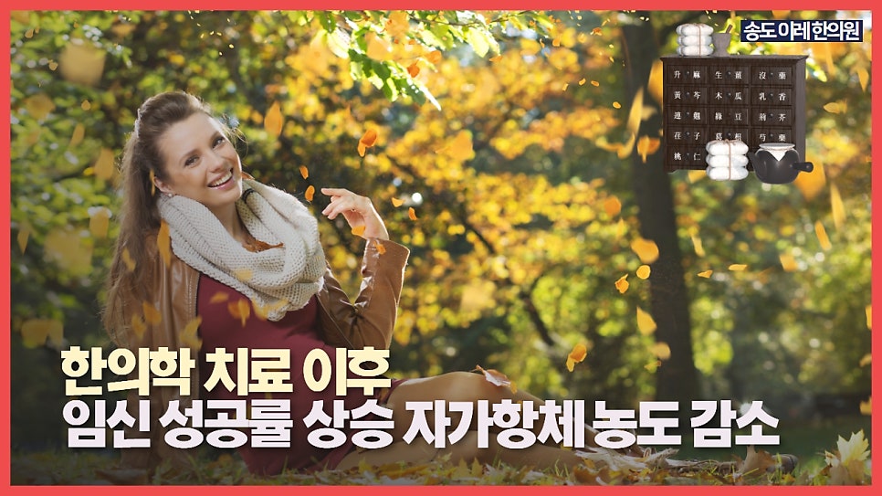 이미지 5