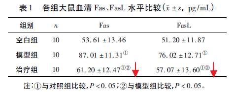 이미지 5