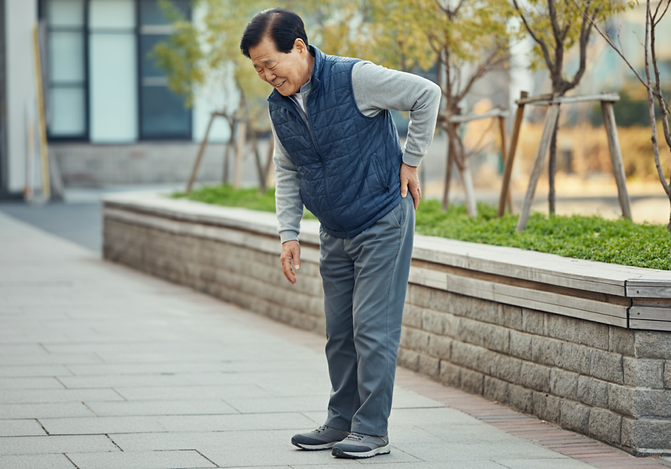 이미지 8