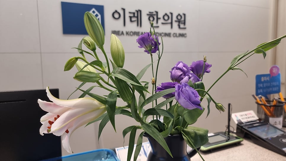 이미지 9