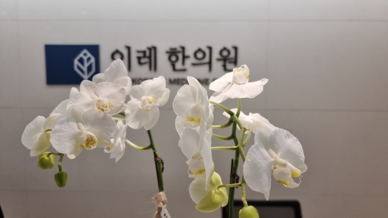 강박증과 혀통증의 관계 - 구강작열감증후군에 동반되는 심리적 요인 - img 04