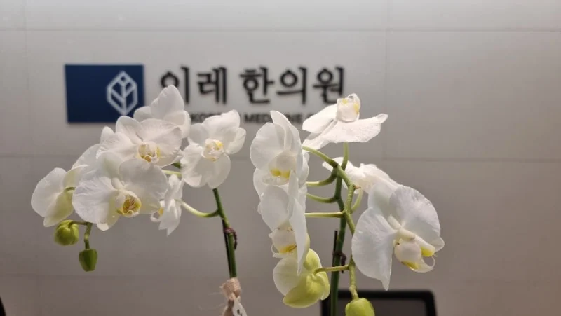 강박증과 혀통증의 관계 - 구강작열감증후군에 동반되는 심리적 요인 - img 04