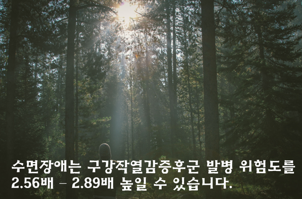 이미지 2
