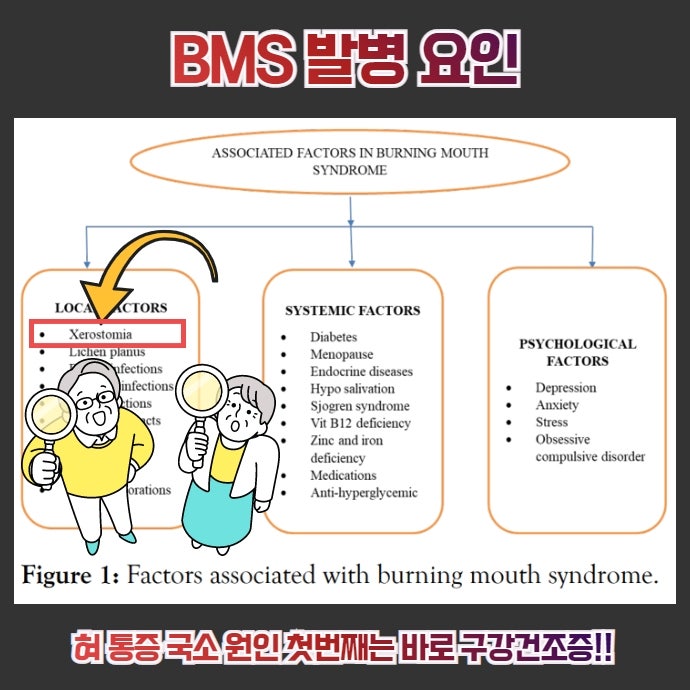 치료 선택지