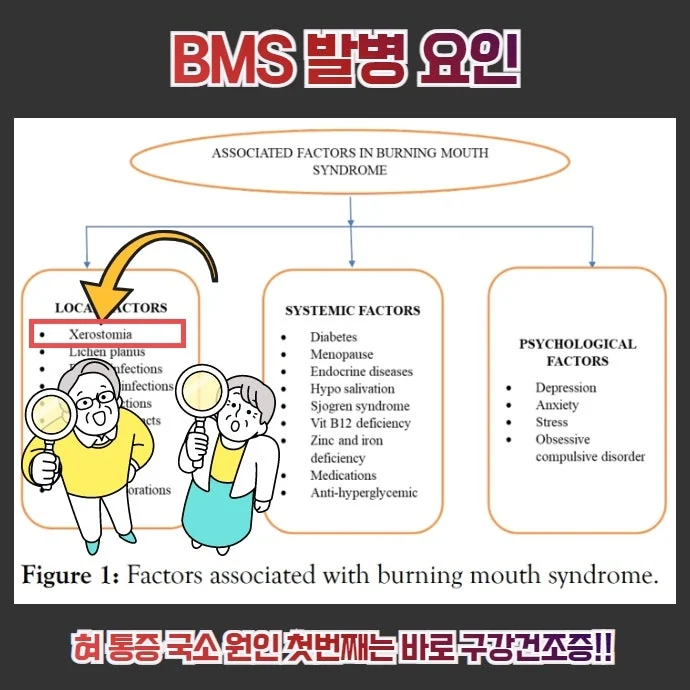 치료 선택지