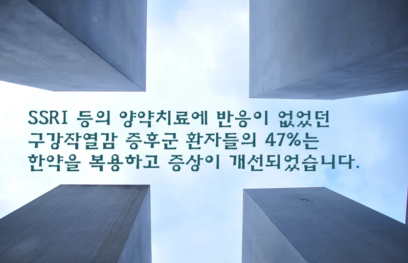 홋카이도 대학병원의 구강작열감 증후군 한약 임상 연구 자료
