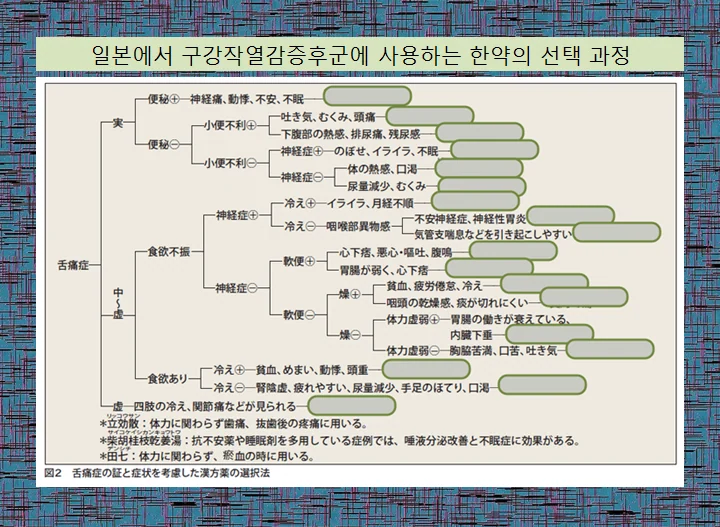 구강작열감 증후군에 사용된 한약 처방을 소개하는 이미지