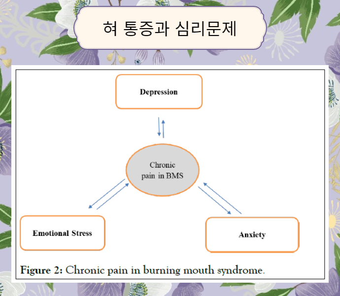 혀통증 구강작열감증후군의 3가지 원인 - 국소 요인, 전신 질환, 심리 요인 - img 04