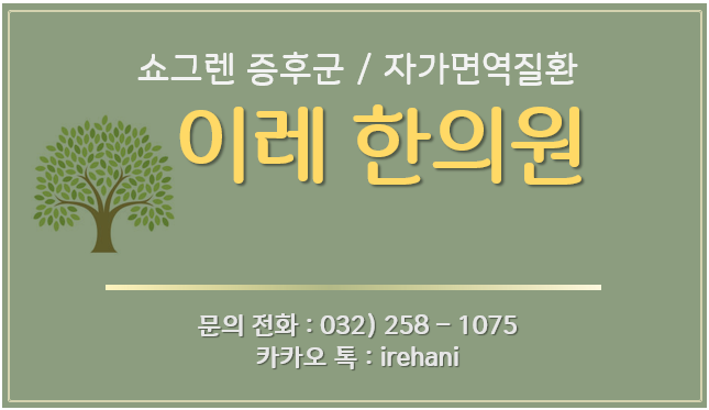 이미지 2