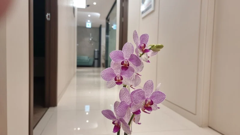 감별 포인트