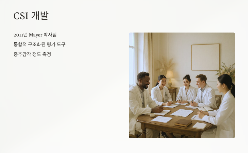 CSI 설문 구성