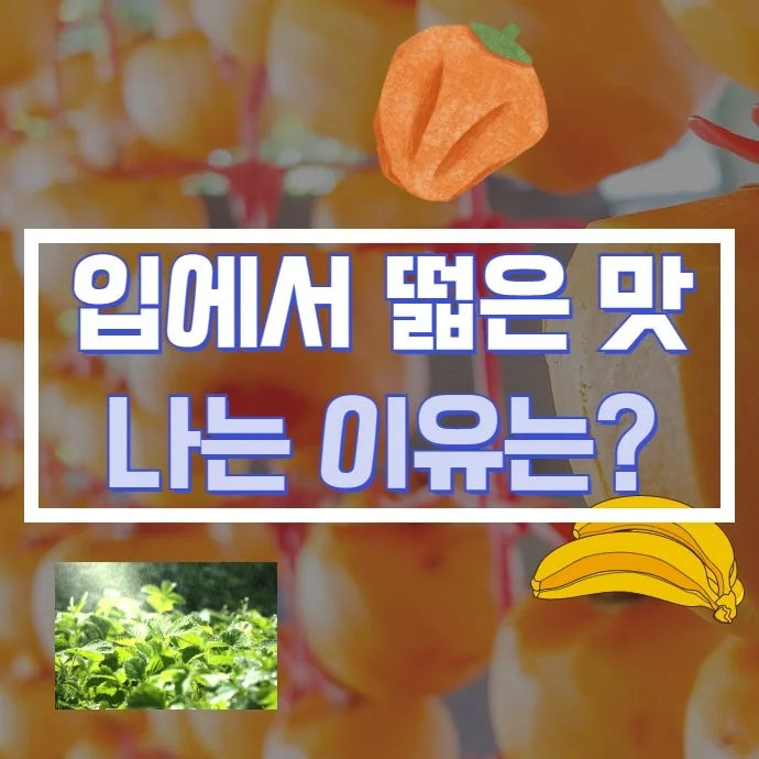 입에서 떫은 맛이 계속되는 원인 - 미각이상증과 구강작열감증후군