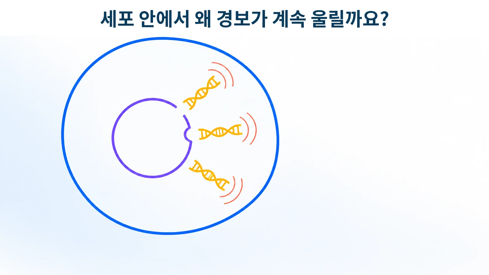 cGAS-STING, 자기 DNA가 바이러스로 오인될 때