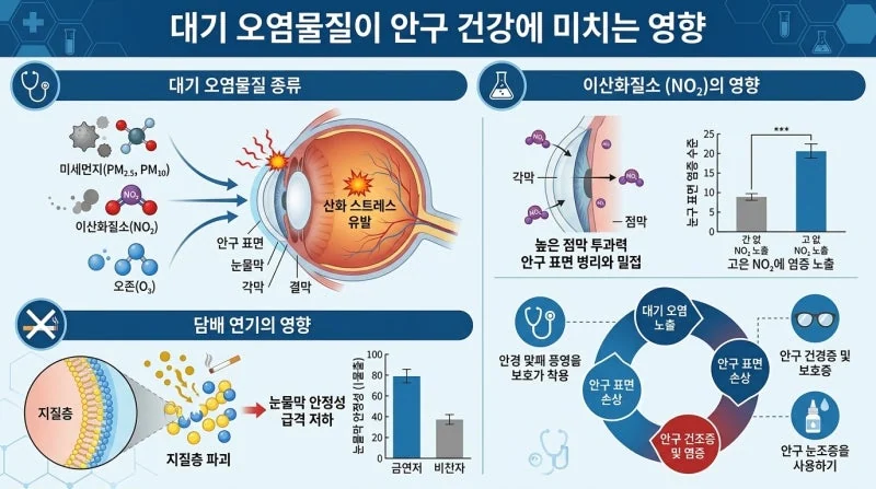 대기오염과 안구건조증