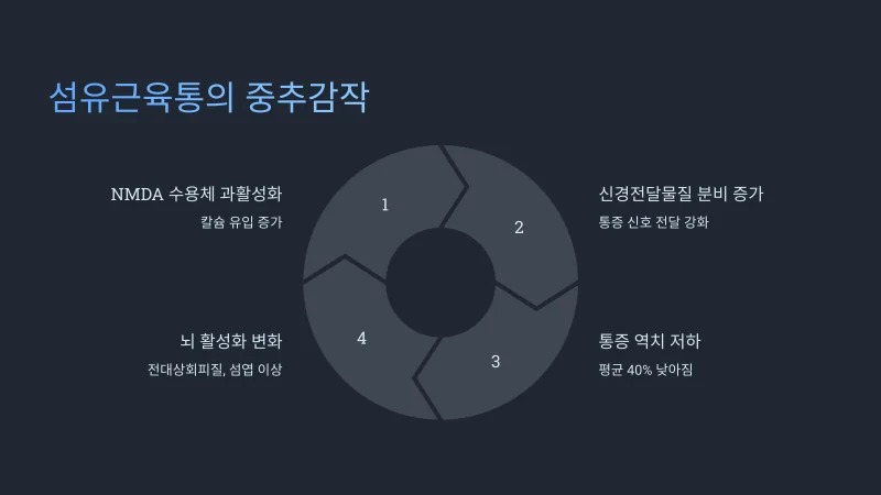 섬유근육통 피로감 메커니즘 비교