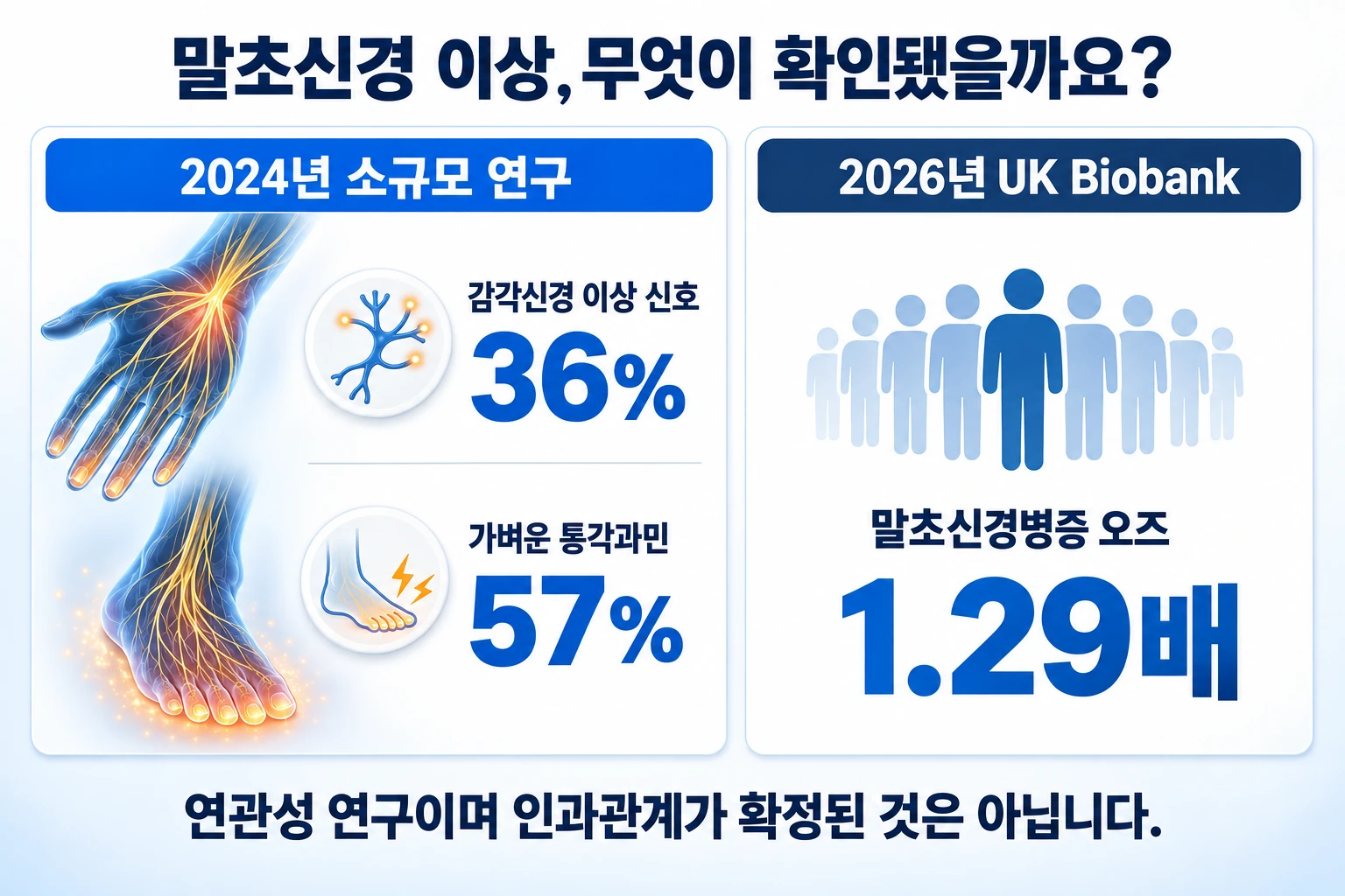 2024년 감각신경 연구의 36%와 57% 및 2026년 말초신경병증 오즈 1.29배를 정리한 근거 도표