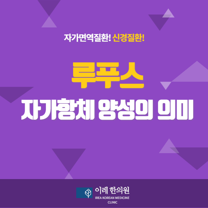 루푸스 자가항체